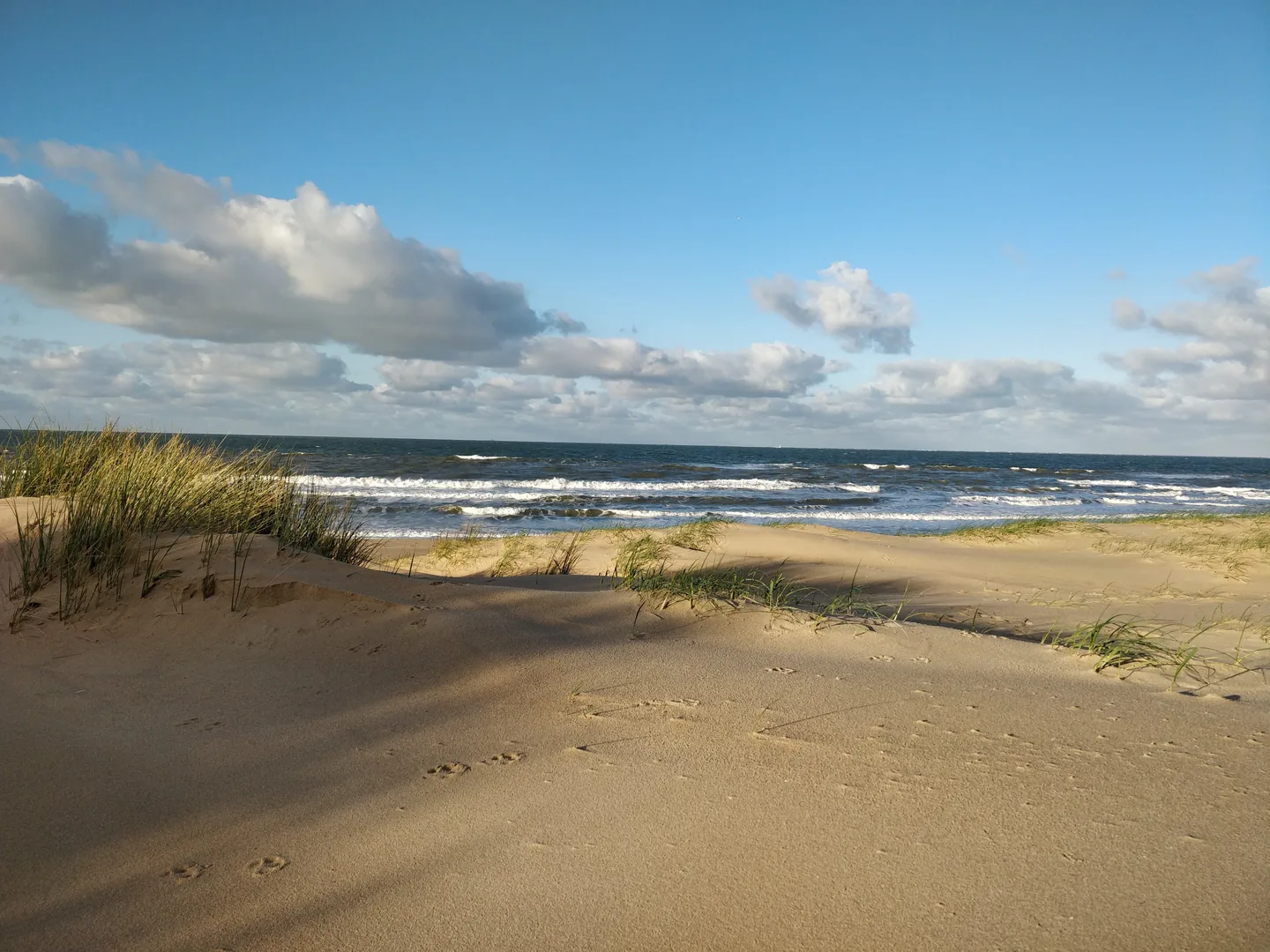 Duinen, strand en zee onder een open lucht.